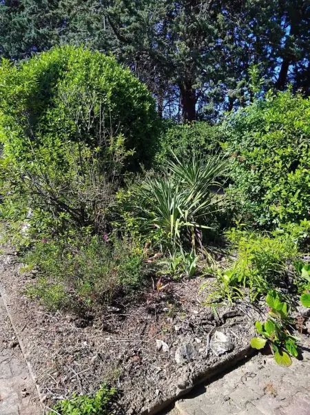 Maison paisible à Veyras avec piscine privée et vue montagne - Photo 26