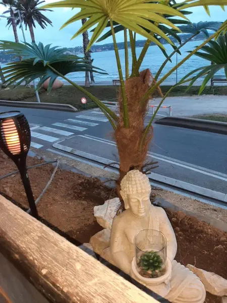 Studio charmant avec vue sur la mer à Bandol - 28 m² - Terrasse - Photo 11