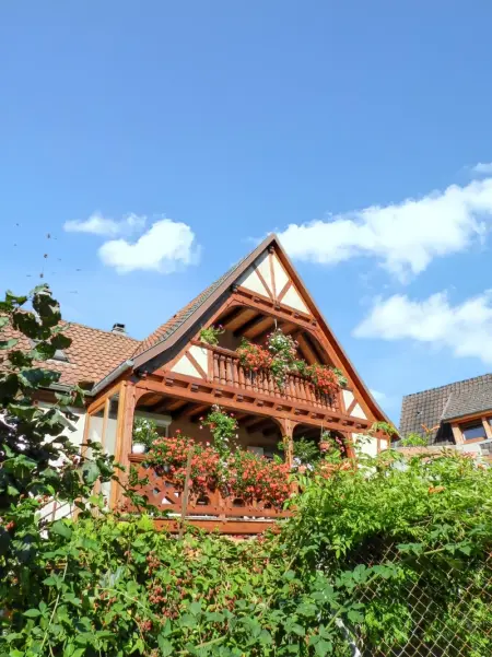 Maison à Triembach au Val, Maison charmante avec vue sur la montagne à Triembach-au-Val - L1065730