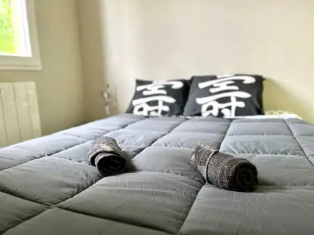 Villa spacieuse à Sainte-Eulalie-en-Born, terrasse, piscine privée - Photo 11