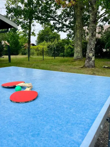 Villa spacieuse à Sainte-Eulalie-en-Born, terrasse, piscine privée - Photo 27