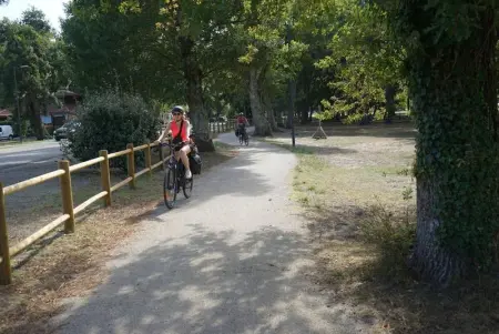 Villa spacieuse à Sainte-Eulalie-en-Born, terrasse, piscine privée - Photo 34