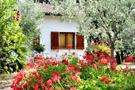 Maison à Lacona, Maison charmante à Lacona + Jardin - L1065747