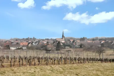 Maison de charme à Wuenheim avec jardin et terrasse - Photo 9
