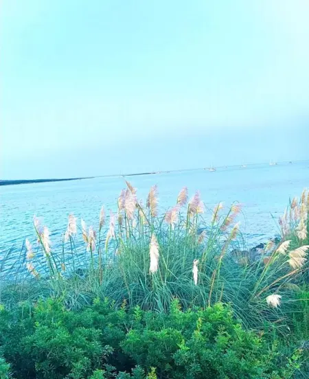 Maison charmante à Stintino, près de la plage de La Pelosa - Photo 25