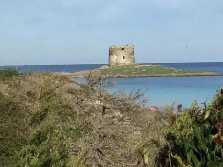 Maison charmante à Stintino, près de la plage de La Pelosa - Photo 33
