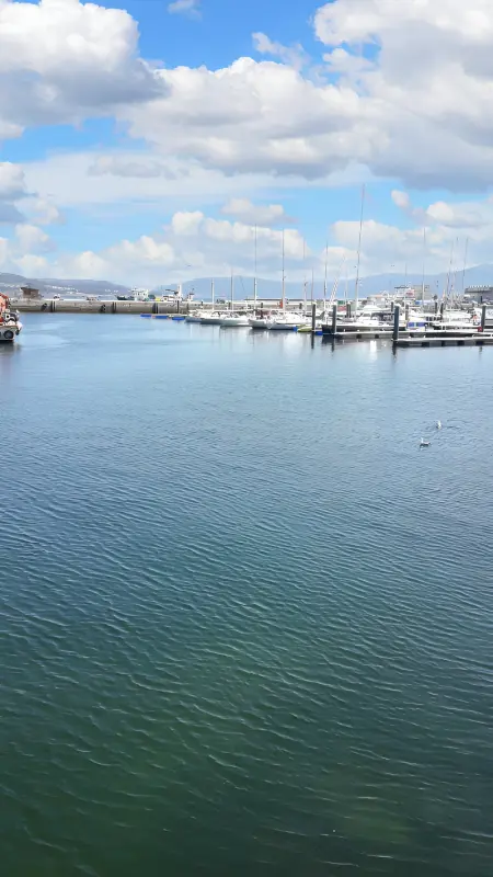 Appartement accueillant à A Coruña, 90 m², balcon - Photo 17