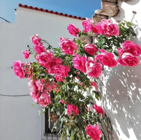 Maison conviviale avec jardin à Messines 149 m² vue montagne - Photo 19