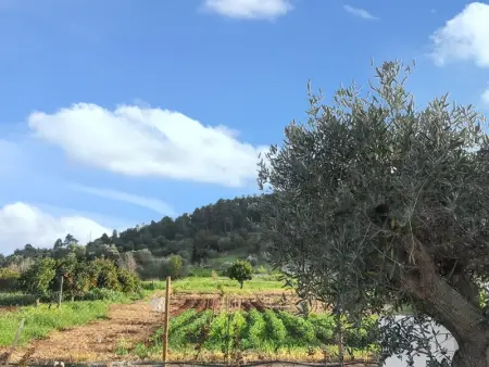 Maison conviviale avec jardin à Messines 149 m² vue montagne - Photo 23