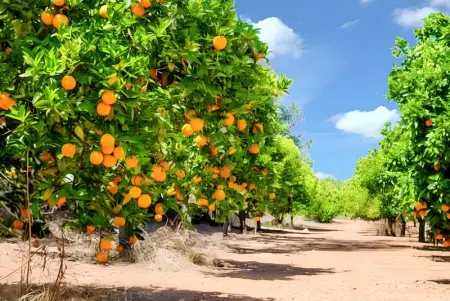 Maison conviviale avec jardin à Messines 149 m² vue montagne - Photo 32