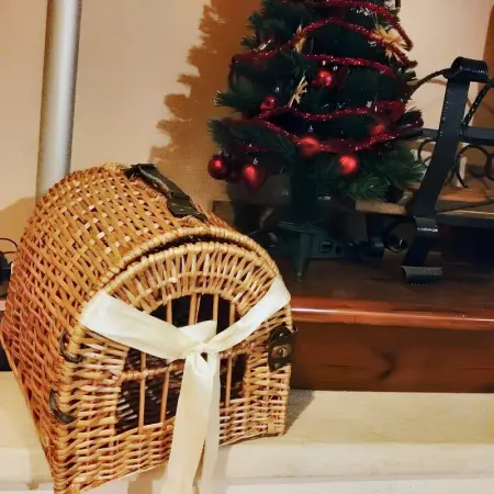 Appartement moderne à Gioia del Colle, jardin clôturé, 50 m² - Photo 6