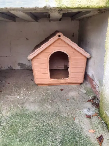 Appartement moderne à Gioia del Colle, jardin clôturé, 50 m² - Photo 30