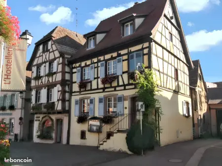 Appartement à Eguisheim, Appartement cosy avec cheminée à Eguisheim - 110m² - Terrasse - L1065907