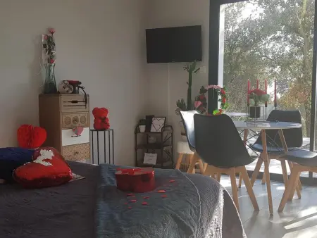 Charmante Maison avec jardin à Mornas, Maison 2 personnes à Mornas - Photo 42