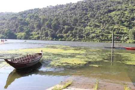Villa paisible à São Martinho de Mouros avec piscine privée - Photo 25