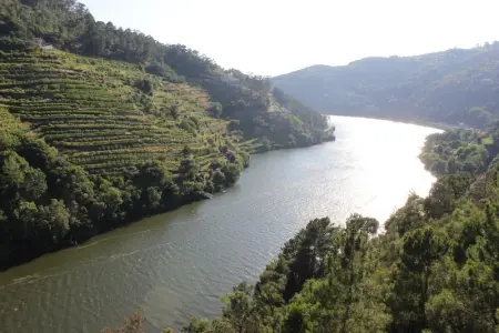 Villa paisible à São Martinho de Mouros avec piscine privée - Photo 27