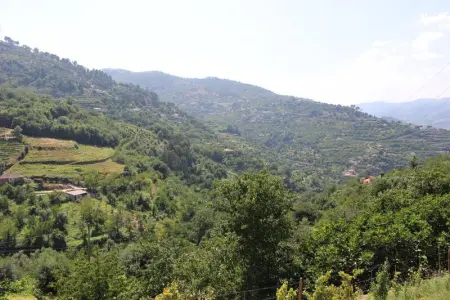 Villa paisible à São Martinho de Mouros avec piscine privée - Photo 32