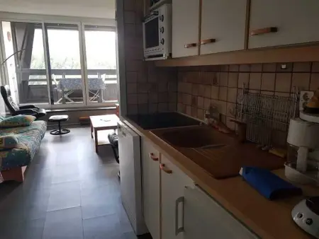 Studio avec vue sur la montagne à Villard de Lans - 34 m² - Photo 5