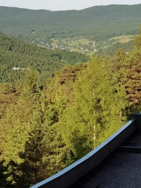 Studio avec vue sur la montagne à Villard de Lans - 34 m² - Photo 21