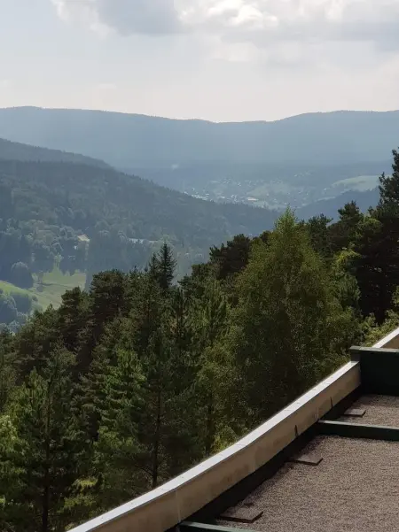 Studio avec vue sur la montagne à Villard de Lans - 34 m² - Photo 23