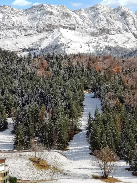 Studio avec vue sur la montagne à Villard de Lans - 34 m² - Photo 24