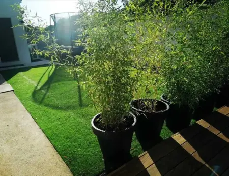 Villa spacieuse et élégante en campagne à Fontvieille offrant sauna - Photo 19