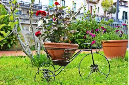 Appartement cosy à Calvello, 45 m² avec parking inclus - Photo 11