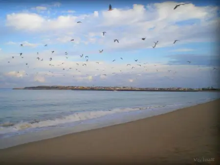 Appartement spacieux à Peniche / 110 m² / Proche de la plage - Photo 17