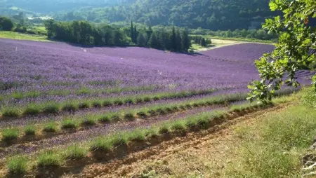 Villa spacieuse à Lioux avec piscine privée et vue montagne - Photo 28
