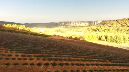 Villa spacieuse à Lioux avec piscine privée et vue montagne - Photo 30