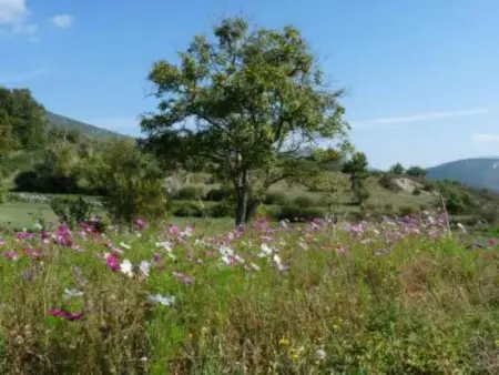 Charmant appartement Eygaliers 60m² avec vue lac et montagne - Photo 10
