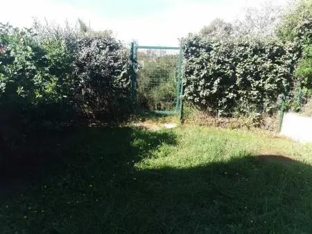 Maison accueillante à Calcatoggio avec jardin clôturé. - Photo 17