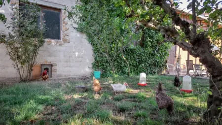 Villa charmante près de Vitigudino avec piscine partagée - Photo 8