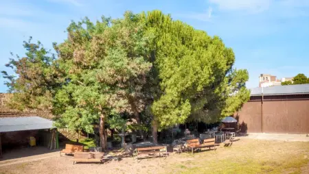 Villa charmante près de Vitigudino avec piscine partagée - Photo 10