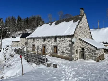 Maison à Chastreix, Maison de campagne spacieuse à Chastreix avec cheminée - L1066212