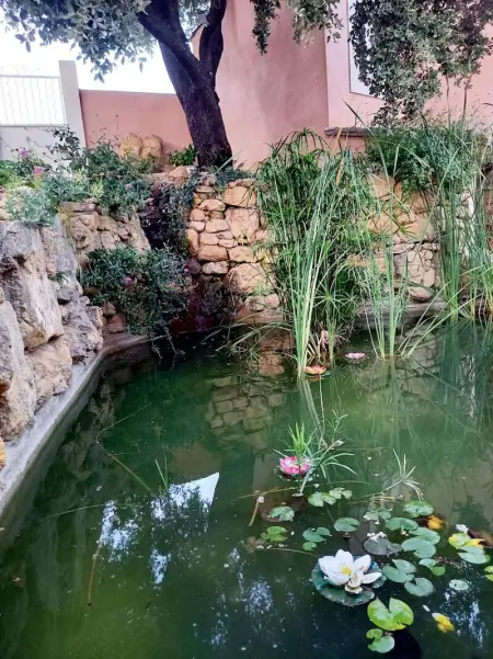 Appartement charmant avec piscine - Salon-de-Provence - 48m² - Photo 3