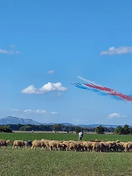 Appartement charmant avec piscine - Salon-de-Provence - 48m² - Photo 20