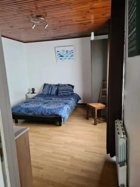 Grande maison conviviale à Flamanville avec jardin clos - Photo 46