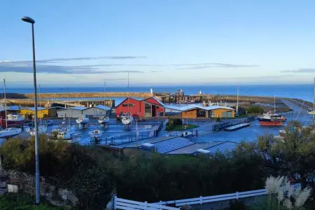 Grande maison conviviale à Flamanville avec jardin clos - Photo 49