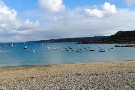 Grande maison conviviale à Flamanville avec jardin clos - Photo 50