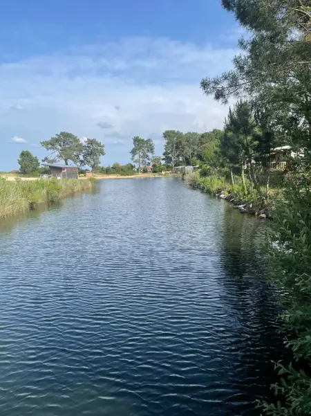 Bungalow familial à Lège-Cap-Ferret avec piscine partagée - Photo 30
