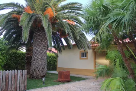 Maison à Porto Santo, Maison accueillante avec vue sur la montagne à Porto Santo - L1066317