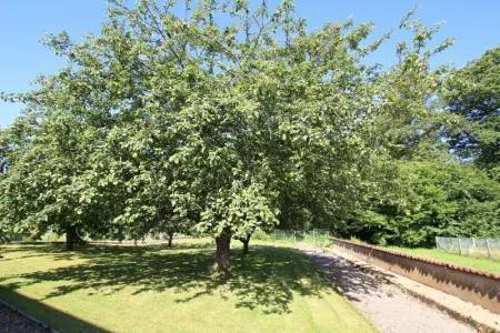 Maison chaleureuse à Champagney avec vue sur la montagne - Photo 18