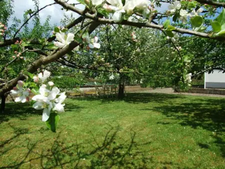 Maison chaleureuse à Champagney avec vue sur la montagne - Photo 20