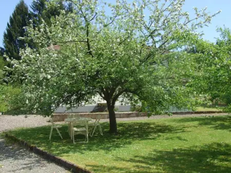 Maison chaleureuse à Champagney avec vue sur la montagne - Photo 22