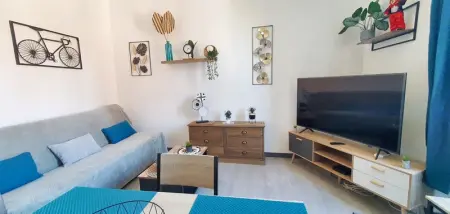 Charmant appartement à Carcassonne avec vue sur le jardin - 35m² - Photo 11