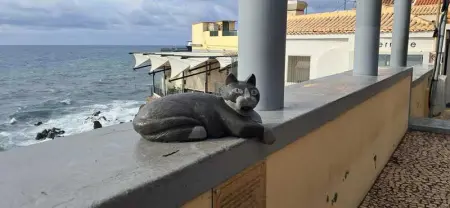 Appartement cosy à Funchal, vue mer et montagne, 35 m² - Photo 39