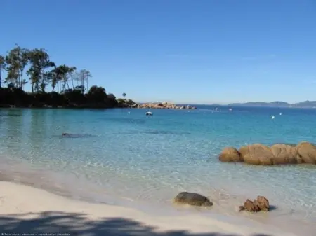 Appartement confortable à Pietrosella avec terrasse privée - Photo 10