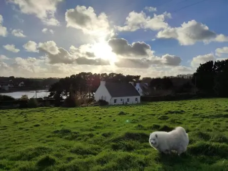 Maison à Plouguerneau, Maison vue mer à Plouguerneau - L1066384