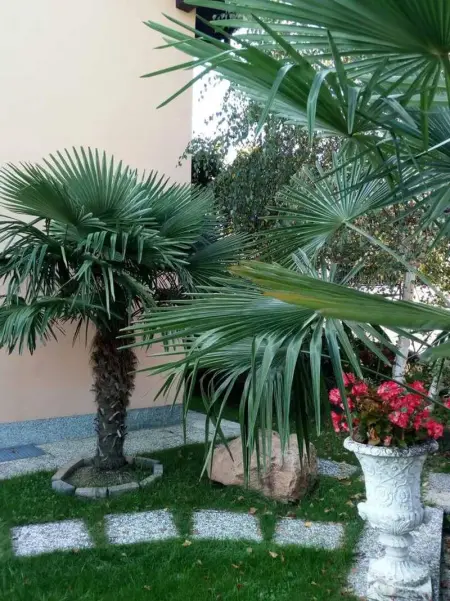 Appartement charmant à Lavena Ponte Tresa - 70 m² - Terrasse spacieuse - Photo 35